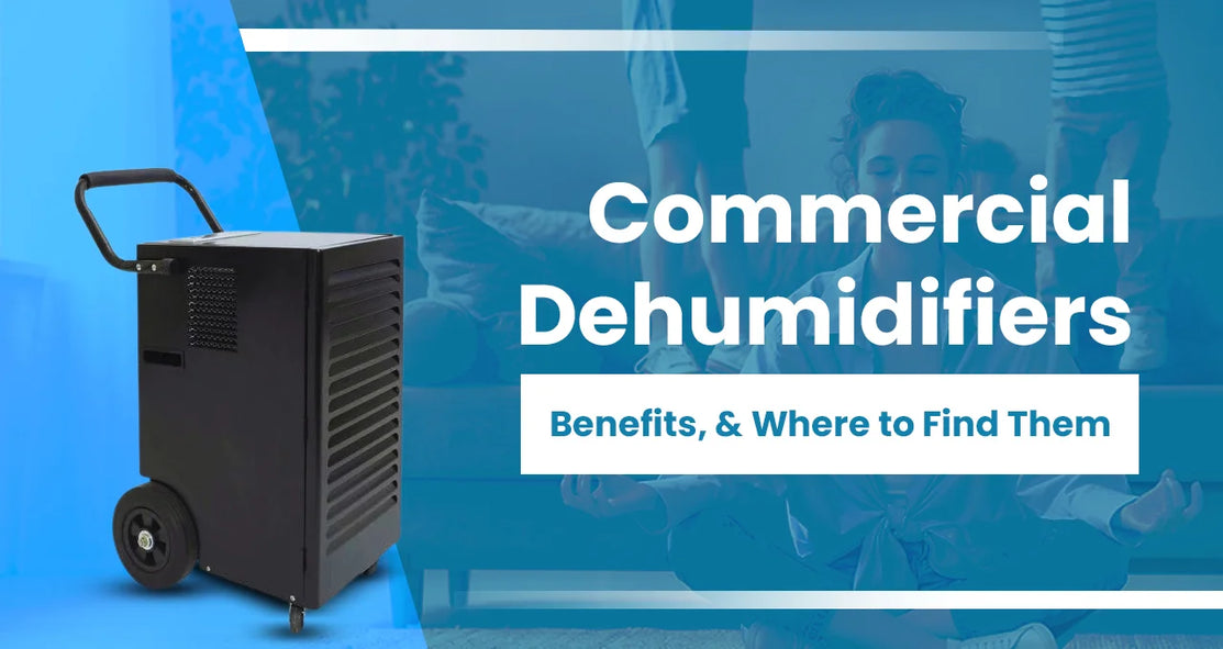 Commercial Dehumidifier Benefits