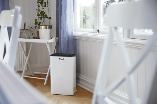 Woods MDK13 Dehumidifier shown in residential situation from Bright Air